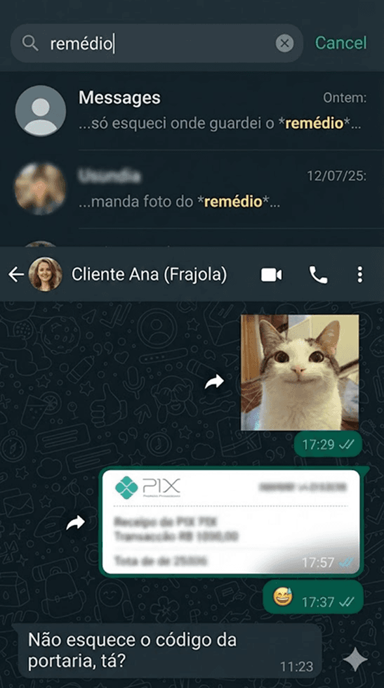 Conversas desorganizadas no WhatsApp